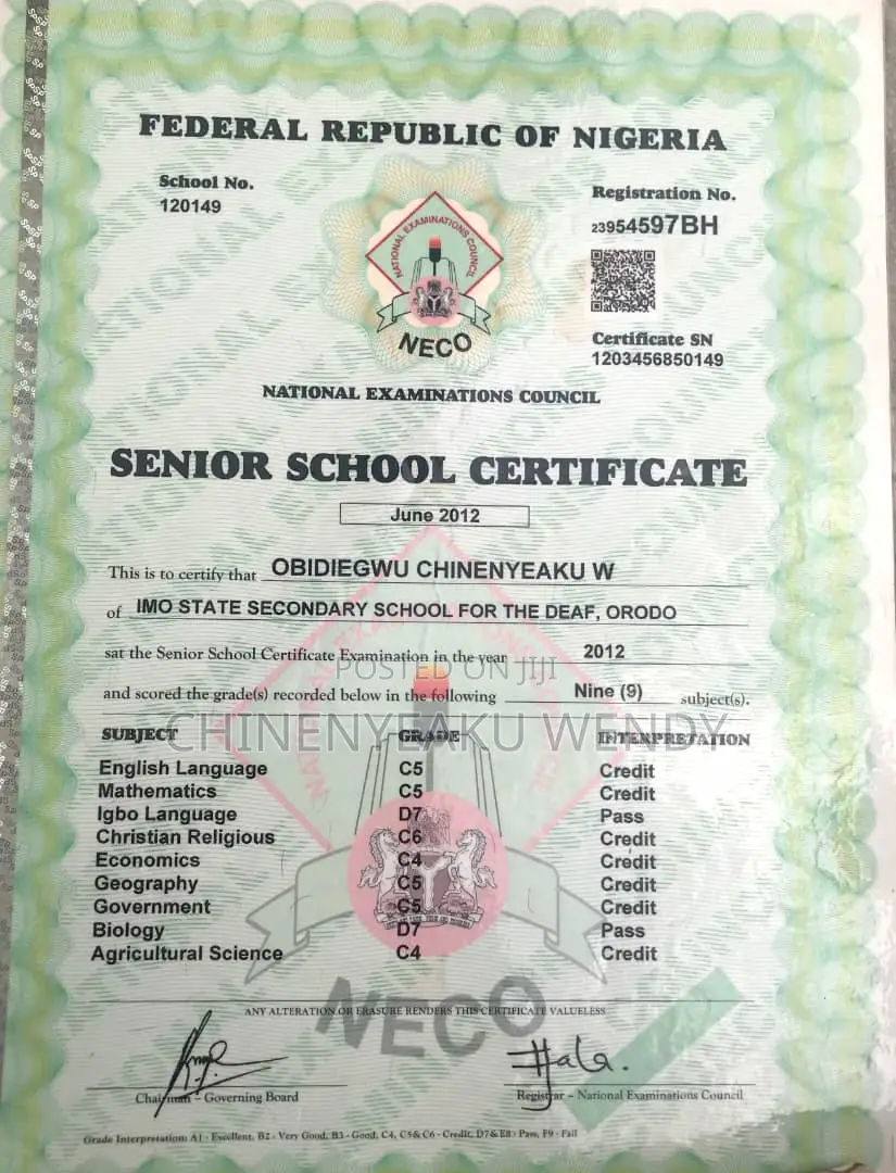 Primary Teacher