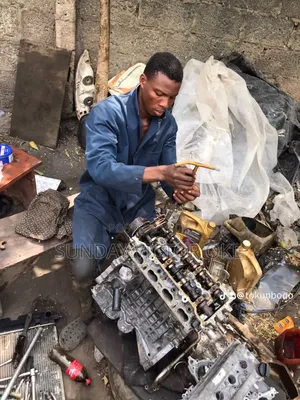 Toyota Lexus Honda Hyundai and Kia Mechanic With Scanning Machine