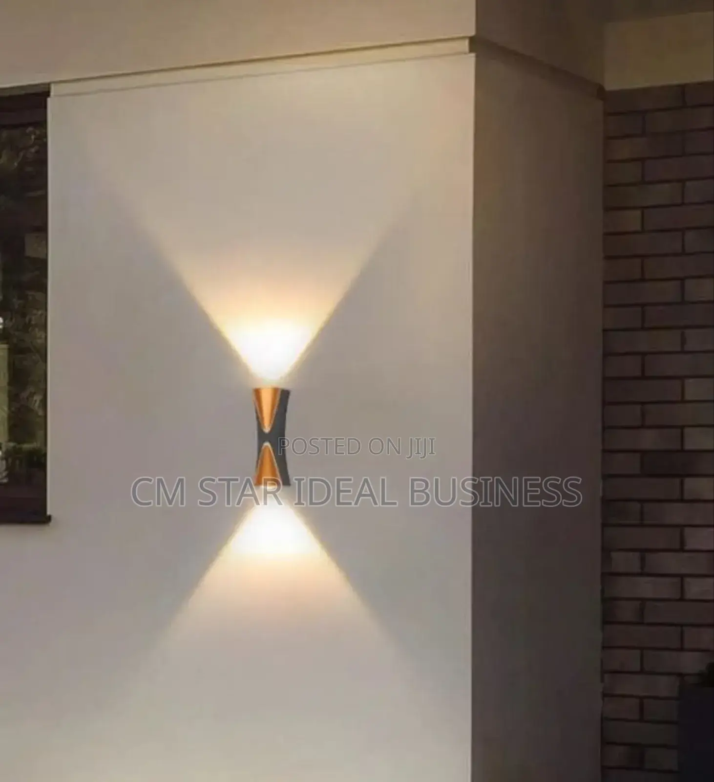 Design Wall Light