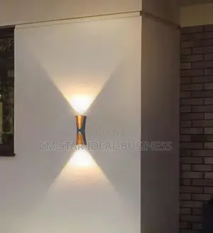 Design Wall Light