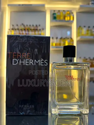 Terre D’Hermès Designer Perfume Copy