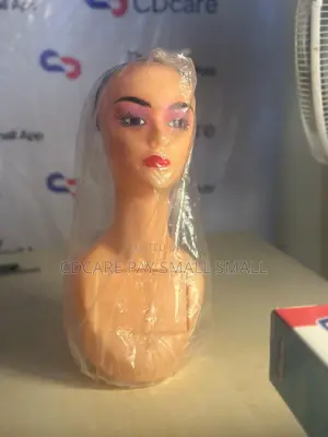 Pay Small Small Female Mannequin Head On Cdcare.App