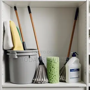 Thorough Cleaning of Homes Offices and Staff Placement