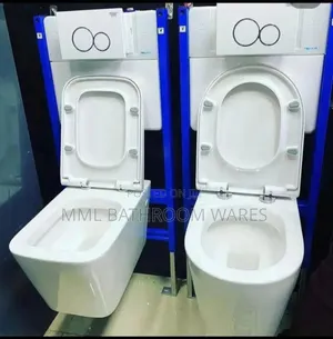 Wall Hung Toilet Seats With Flush Plate