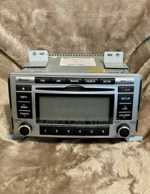 2010-12 Hyundai Santa Fe Factory Radio Set