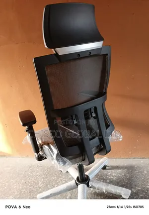 Office Chair (Ergo- Power)
