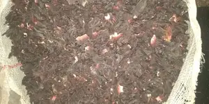 Hibiscus Flower Zobo