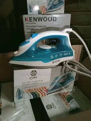 Electric Steam Iron