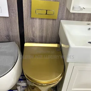 Round Concealed Wc Gold