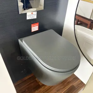 Gray Concealed Wc