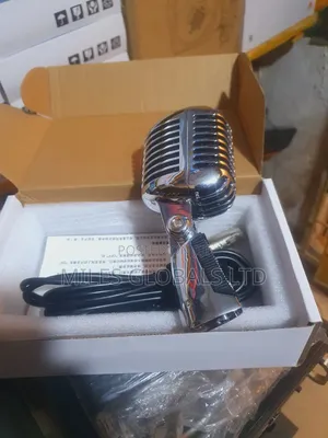 Professional Studio Microphone