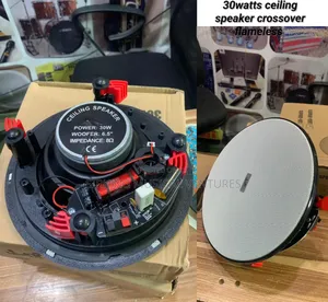 Ceiling Speaker 30watts With Crossover Flameless