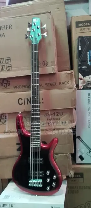 Professional Ibanez Bass Guitar Soundgear