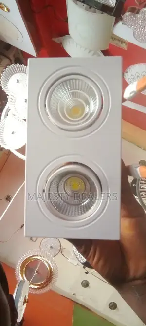Led Recess Double Downlight Including Single Led Lights