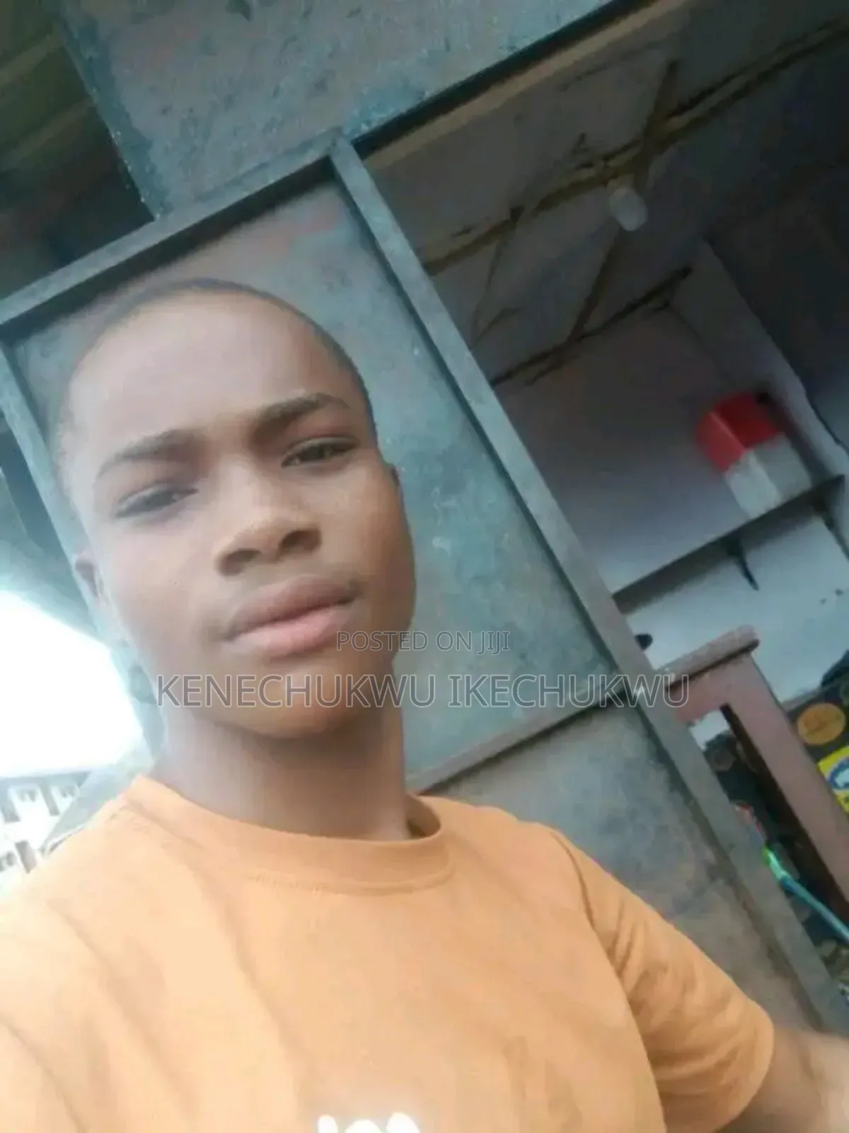 Professional Bakr