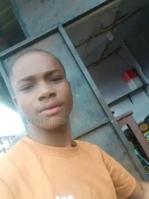Professional Bakr