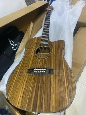 Electroacoustic Smiger Guitar  