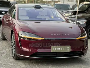 New Car 2024 Burgundy