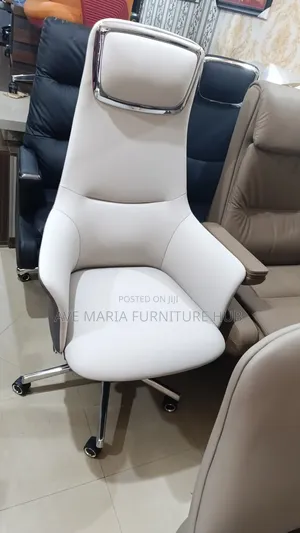 Executive Office Ergonomic Chair.