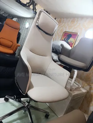 Executive Office Ergonomic Chair.