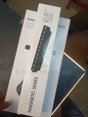 Magnetic Track Light