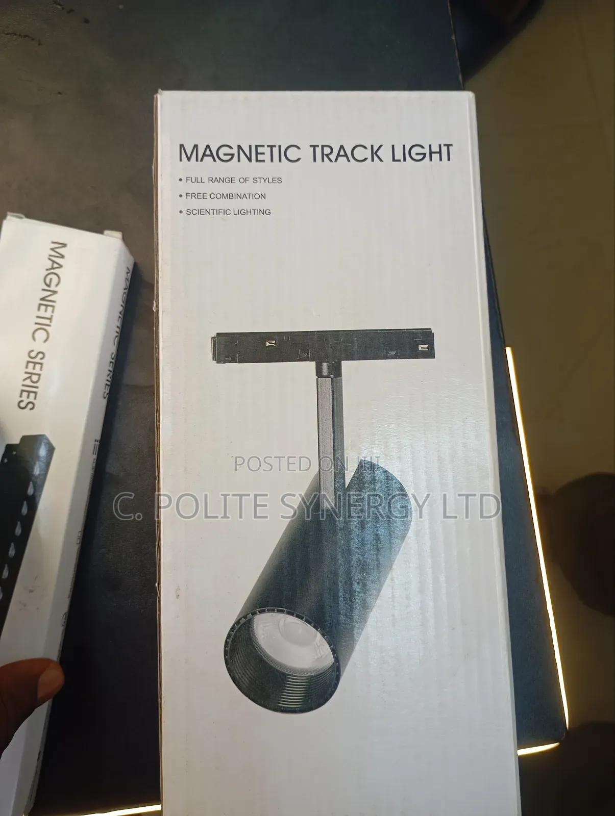 Magnetic Track Light