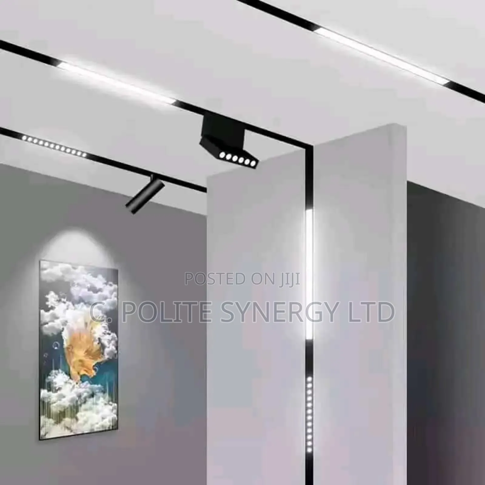 Magnetic Track Light