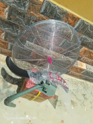 Affordable 2 Blade Industria Wall Fan ( 2inches)