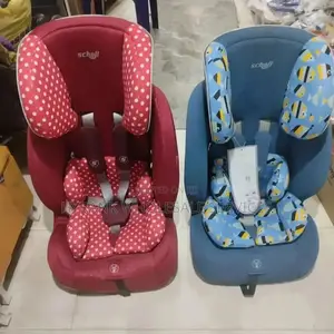 Baby's Car Seat