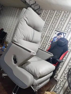 Executive Office Ergonomic Chair.