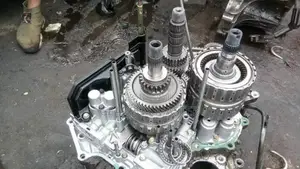 Doctor of Automatic Gear