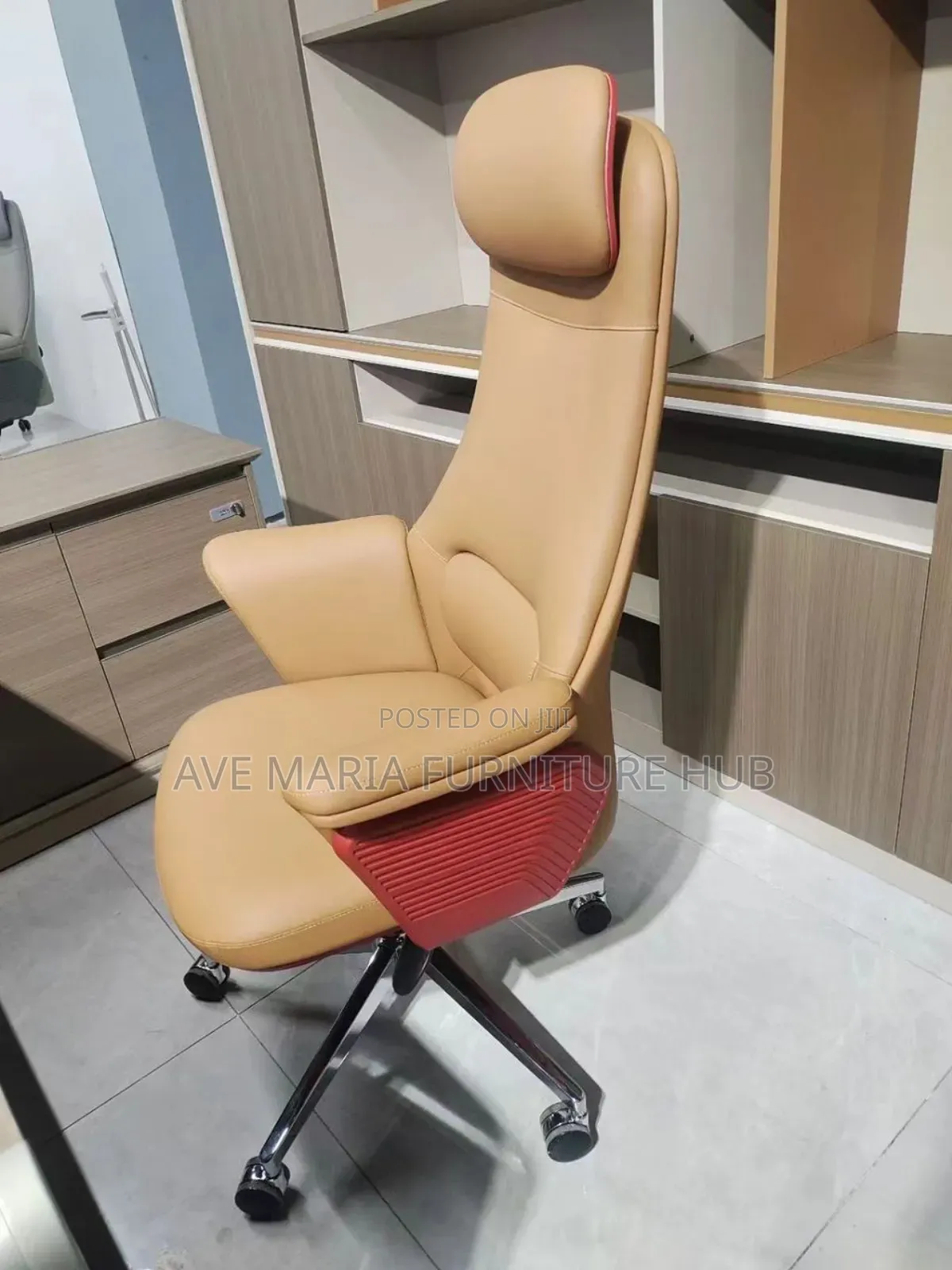 Executive Office Ergonomic Chair.
