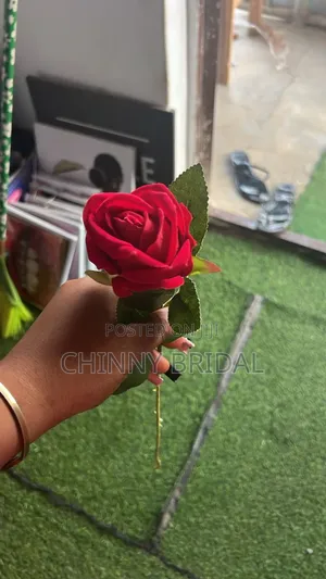 Single Red Rose