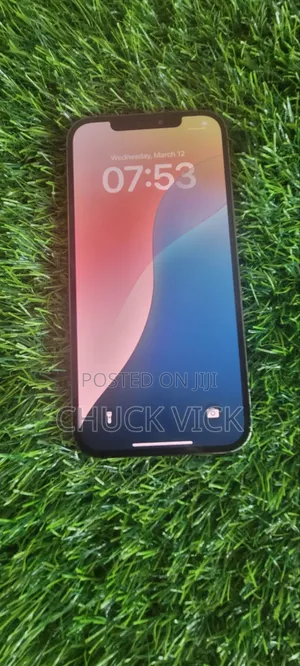 Apple iPhone 12 Pro Max 256 GB Gray