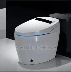Aesthetic White Sensor Water Closet