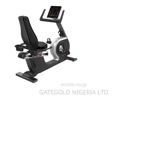 A5100 Recumbent Bike (Dhz Brand)