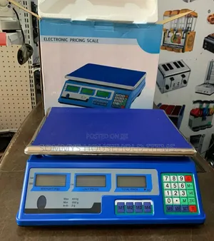 Electronic Pricing Scale