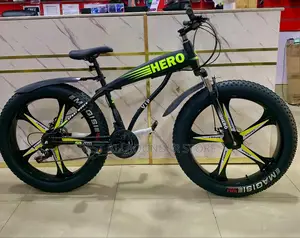 Big Alloy Tyre Bicycle
