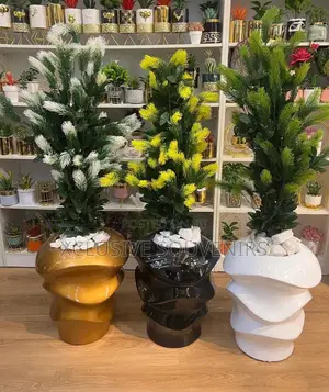 Pancake Stack Fiber Pot With Fir Plant