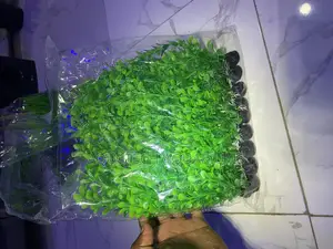 Flower Decor
