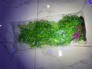 Long Plant for Aquarium 50cm