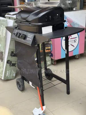 Commercial Gas Bbq 2 Burner