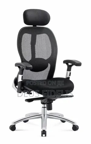 Ergonomic Office Chair With Revolving Leg