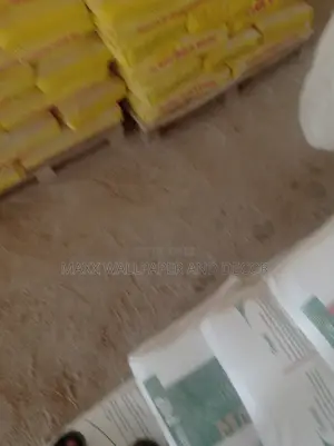 Mr Putty Properties Guarantee Visit Eko Atlantic to Order