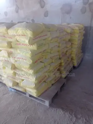 The Secret to a Flawless Finish Wall Is Mr Putty Gudu Abj