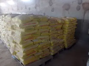Built to Last. Mr. Putty Screeding Plaster Cement in Guzape