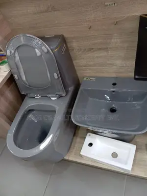 Complete Ash Colour Water Closet