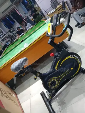 Luxury Stationary Bike.