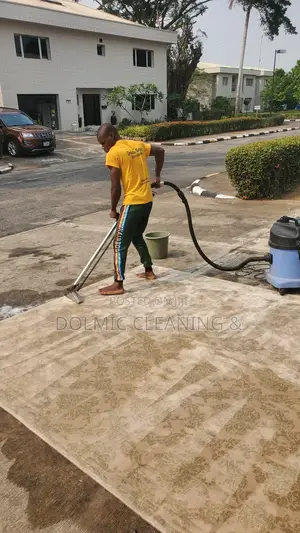 Same Day Carpet Cleaning