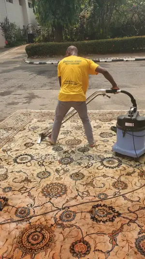 Mobile Carpet Cleaning Services